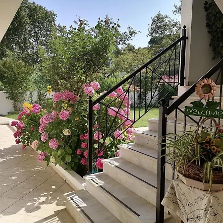 Palatino * Agia Paraskevi (Skiathos)