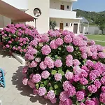 Palatino Appartement *