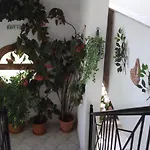 Palatino