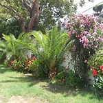 Palatino * Agia Paraskevi (Skiathos)