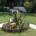 Appartement Palatino Agia Paraskevi (Skiathos)