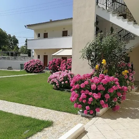 Palatino *