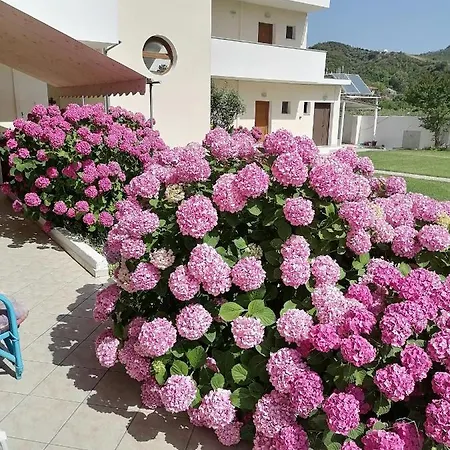 Palatino Apartman *