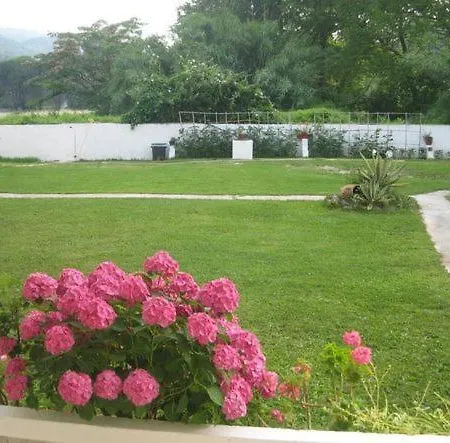 Palatino * Agia Paraskevi (Skiathos)