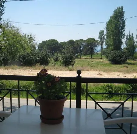 Palatino *