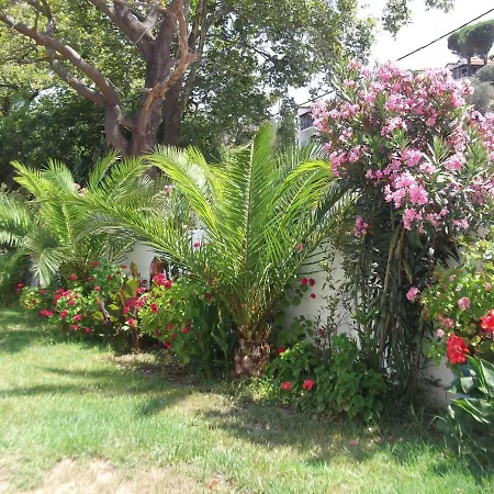 Palatino * Agia Paraskevi (Skiathos)
