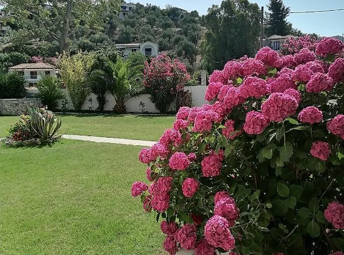 Apartamento Palatino *