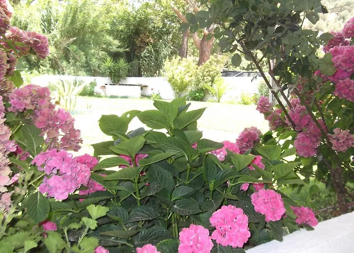 Palatino * Agia Paraskevi (Skiathos)